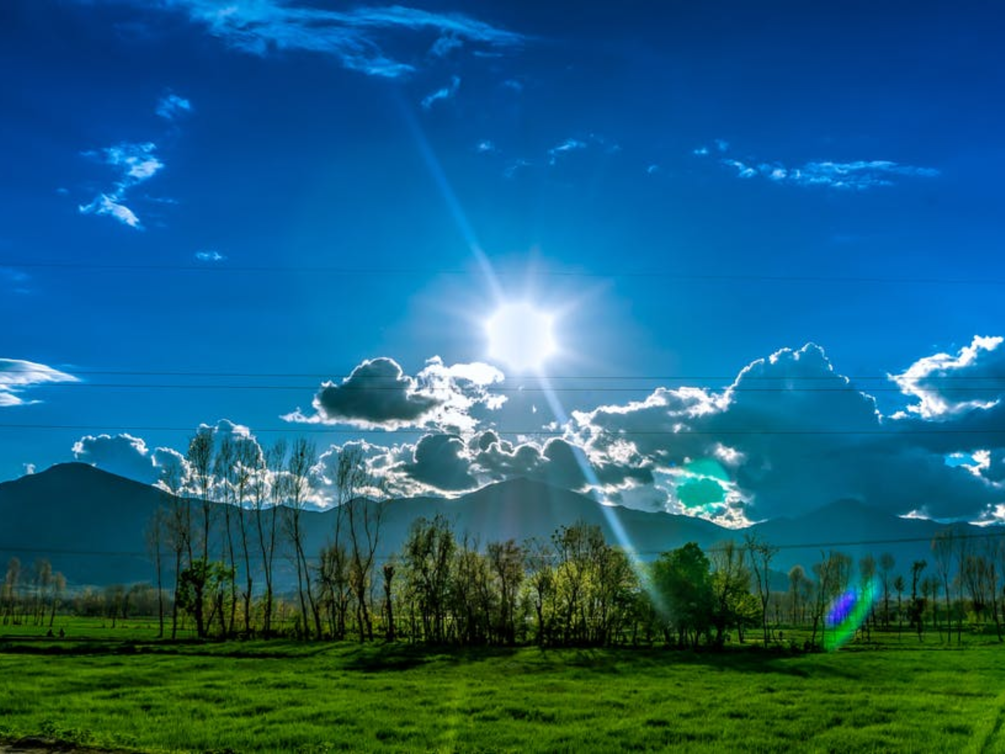 Pleasant Weather in Jim Corbett