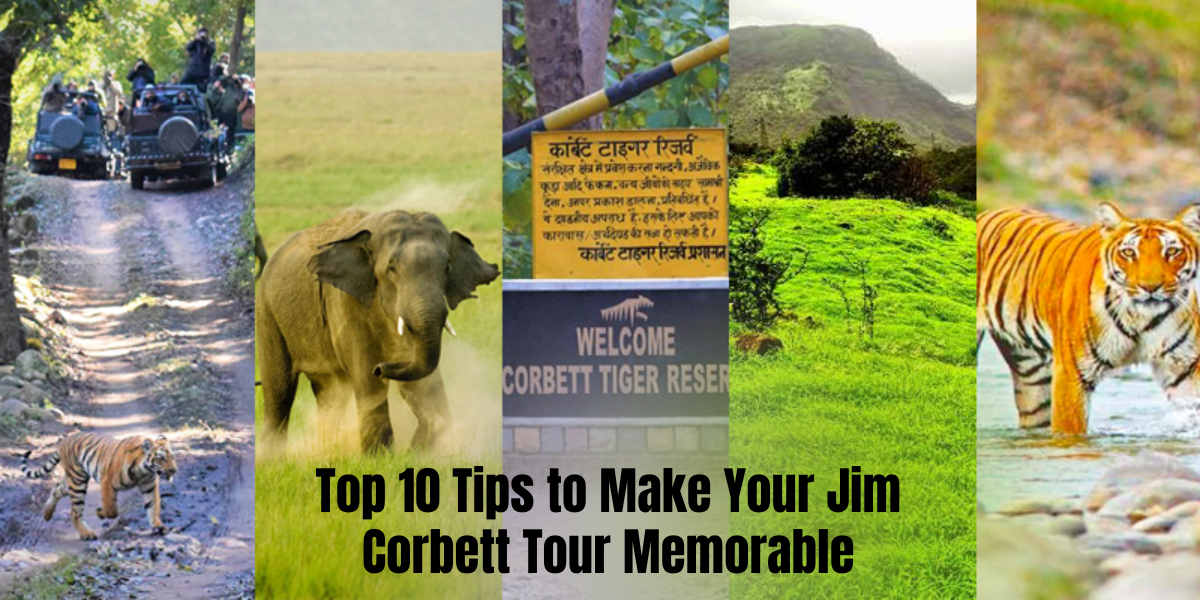 TOP TIPS for JIM CORBETT TOUR