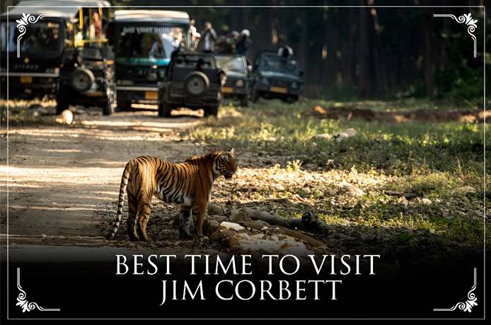 Best season to visit - Jim Corbett National Park Best season to visit - Jim Corbett National Park