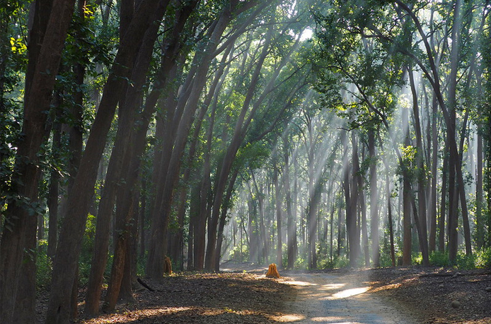 Jim Corbett Resorts