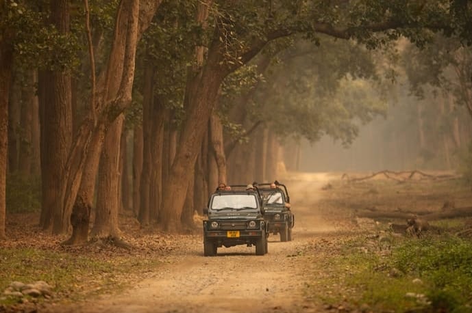 Safari at Jim Corbett National Park