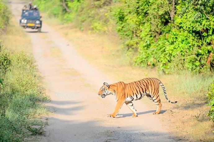 Visiting Corbett National Park in Summer