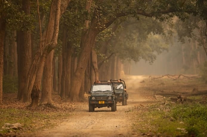 Safari at Jim Corbett National Park