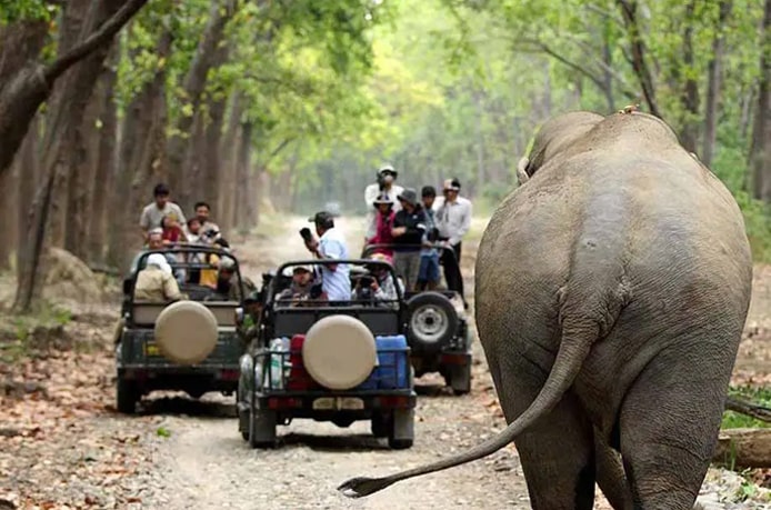  Jeep Safari in Jim Corbett