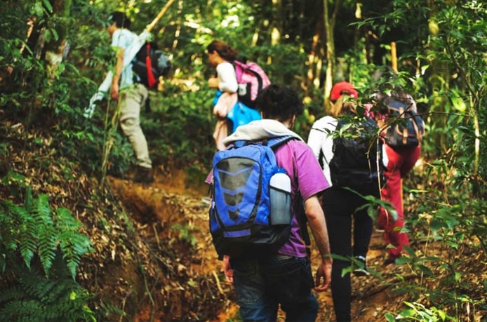 Nature Walk in Jim Corbett