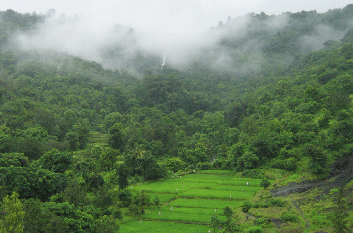 Jim Corbett National Park in Winter