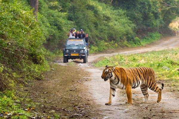 Jim Corbett