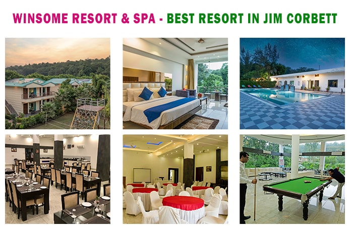 Best Resort in Jim Corbett National Park
