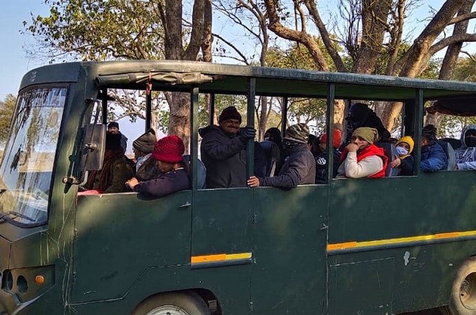 Senior Citizen Jungle Safari in Jim Corbett