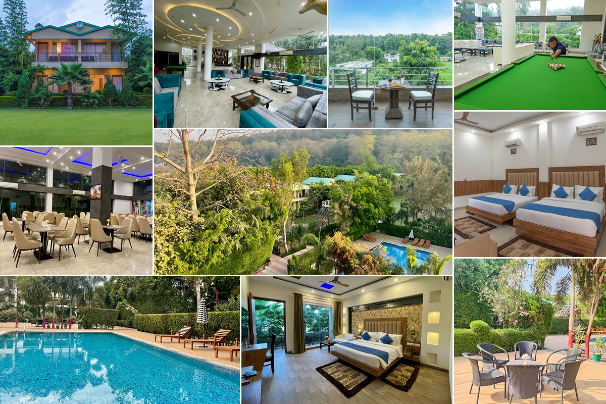 Wildlife photography resort