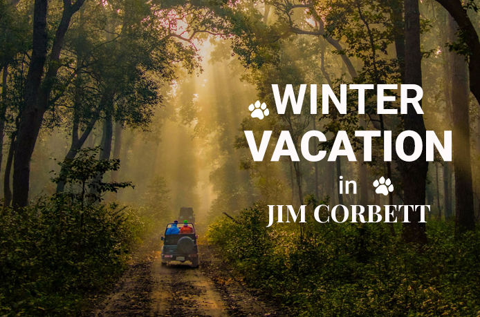 Winter Vacation in Jim Corbett National Park Winter Vacation in Jim Corbett National Park