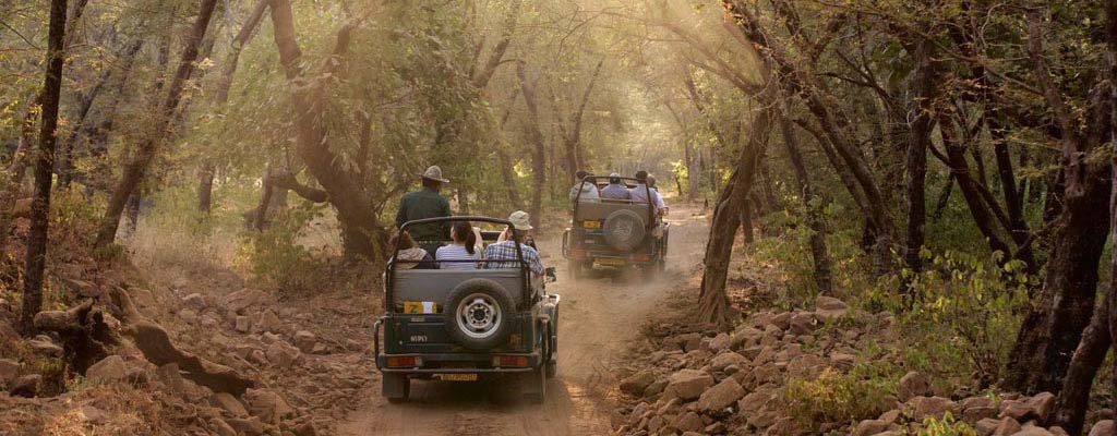 Jeep Safari